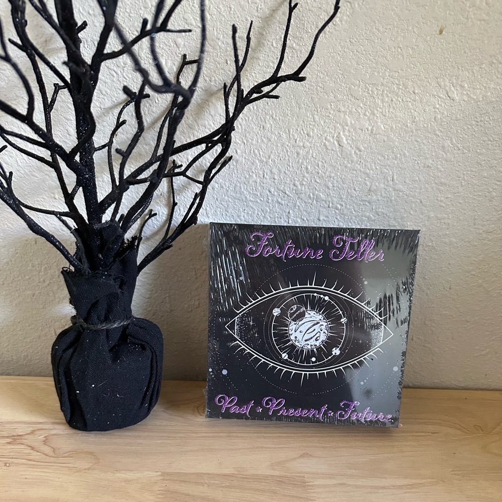 New Halloween “fortune teller past present future” Whimsigoth gypsy shadow box🔮